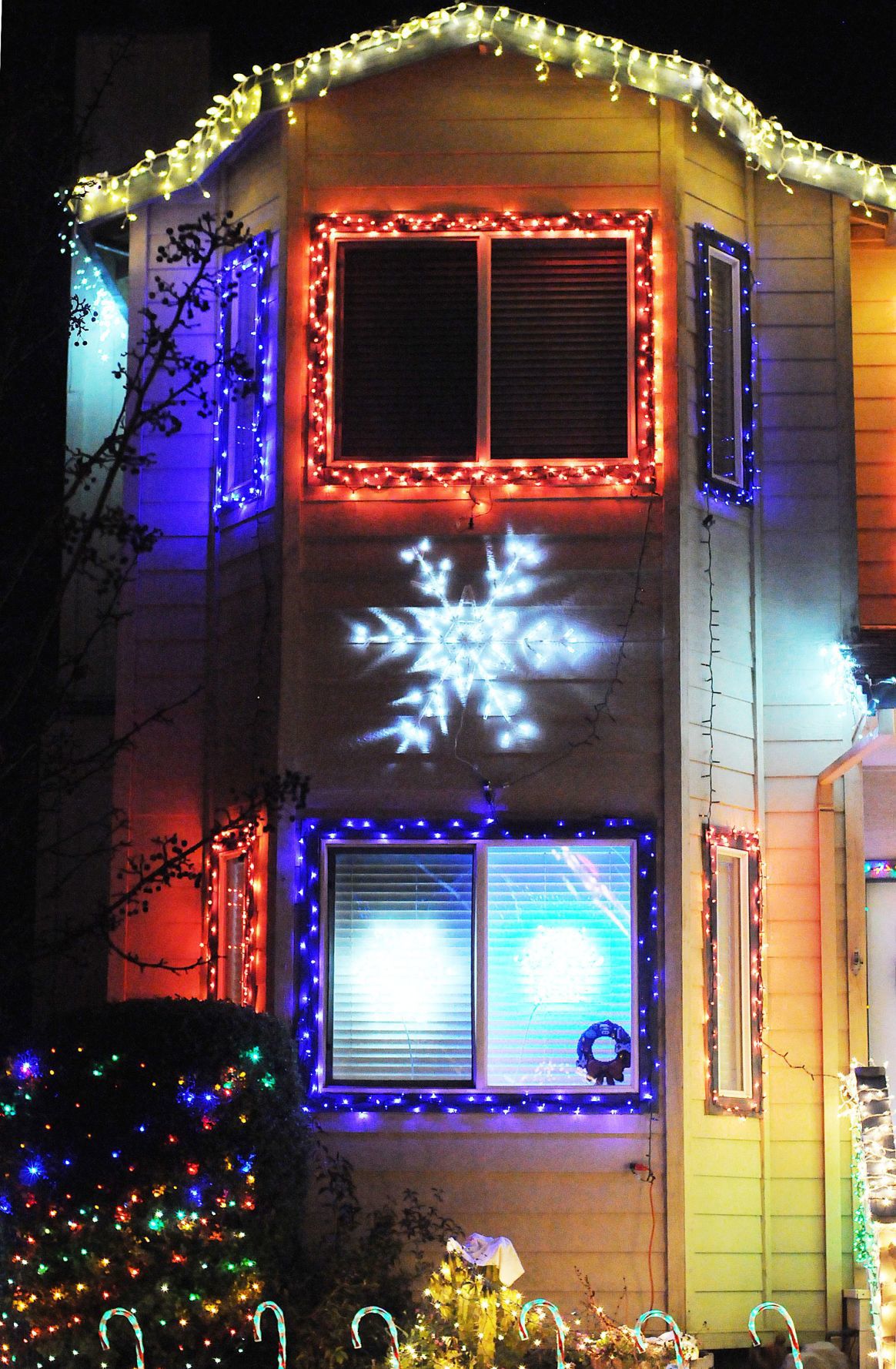 Napa Christmas lights